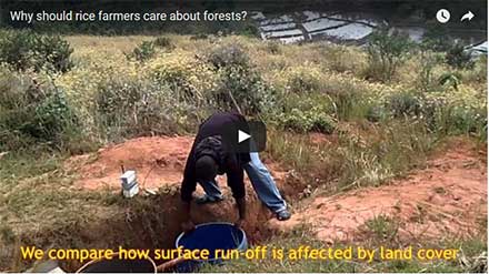 Youtube still: Why should rice farmers care about forests?
